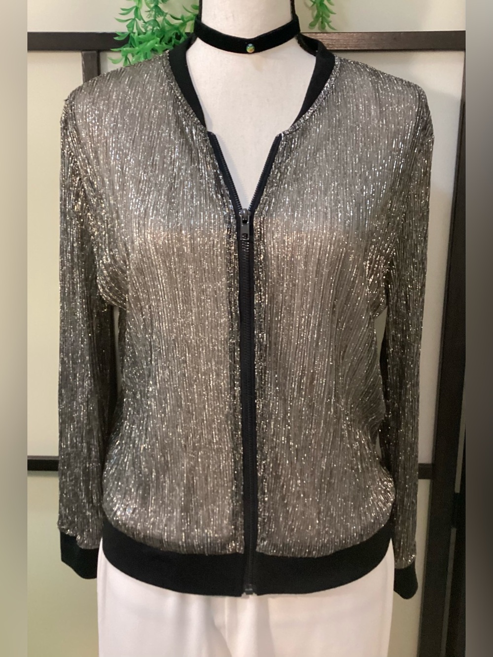 See-through shiny light jacket with front zipper. Size M